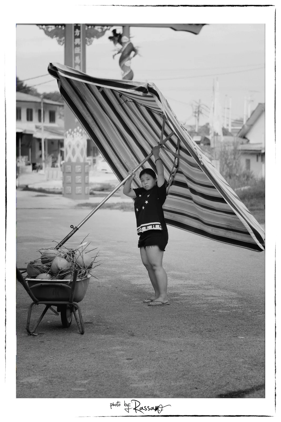 A young girl holding a large striped umbrella against the wind next to a wheelbarrow of coconuts, black and white